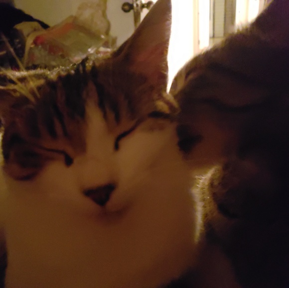 Meet your Posher, Wendie - Picture 5 of 8